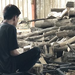 agarwood processing