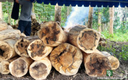 468742834_1092220428961270_551038457833988544_n